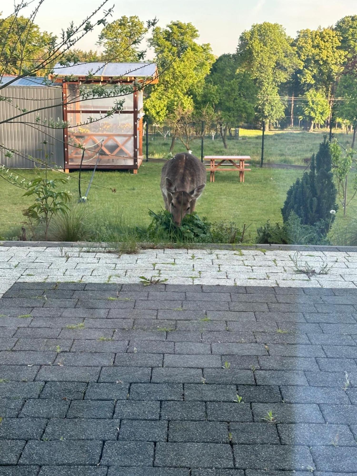 Swiety Spokoj Bielinek Cedynia Екстериор снимка